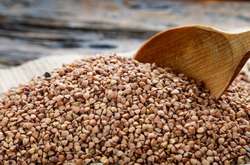 Мінагрополітики оприлюднило прогноз врожаю «стратегічного продукту»