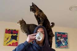 Когда завел питомца и вскоре лишился личного пространства. Подборка курьезных фото