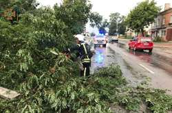 Негода вирувала у Харкові та Полтаві: повалило дерева, на дорогах ріки (фото, відео)