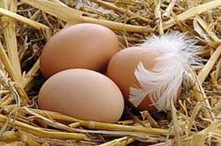 Ціни на яйця почали зростати