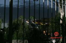 Деталі події з'ясовують