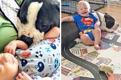 Эти милые питомцы в любой момент готовы проявить к хозяину заботу. Курьезные фото