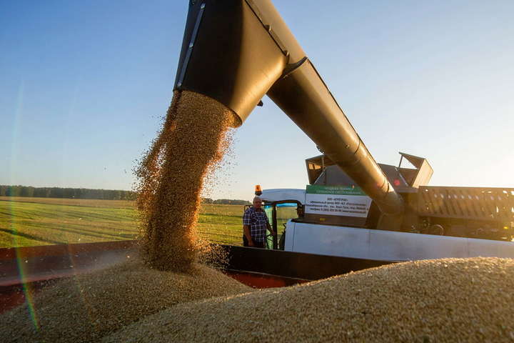 Експерти прогнозують Україні рекордний урожай пшениці 
