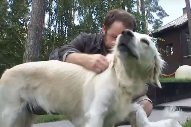 Скандал у ветклініці на Київщині: лікарі помилково стерилізували собаку