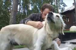 Альба три місяці тому народила 5 здорових цуценят