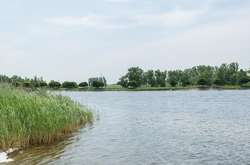 На Закарпатті рятувальники витягли з води трьох дітей, яких ледь не змило рікою