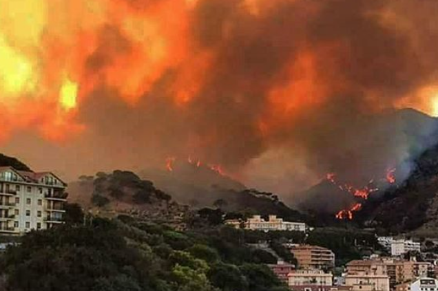 Лісові пожежі дістались Італії. Вже є жертви