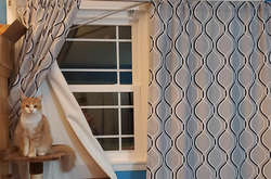 Эти мохнатые проходимцы будут шкодить и впредь, потому что не могут иначе. Курьезные фото