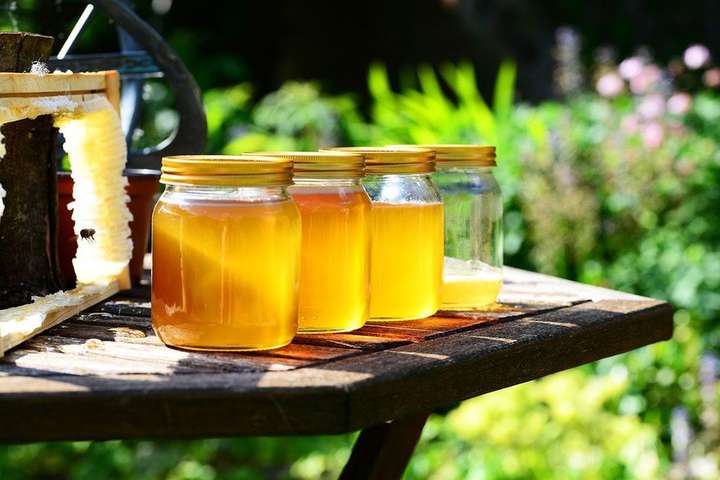 Подорожчання склало в середньому від 50 і навіть до 100 грн за кілограм залежно від виду меду - В Україні рекордно зросли ціни на мед: скільки коштує солодкий продукт 