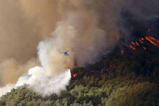 Турция взяла под контроль все крупные лесные пожары