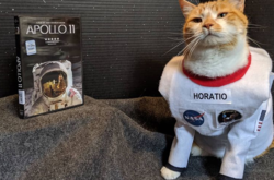 В США кот стал сотрудником библиотеки, чтобы привлечь посетителей. Курьезные фото