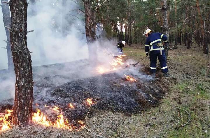 Рятувальники попередили про пожежну небезпеку найближчими днями - Оголошено пожежну небезпеку: що заборонено робити у лісі в найближчі дні 