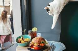 Когда случайно создал шедевр. Подборка курьезных фото в стиле «за секунду до»