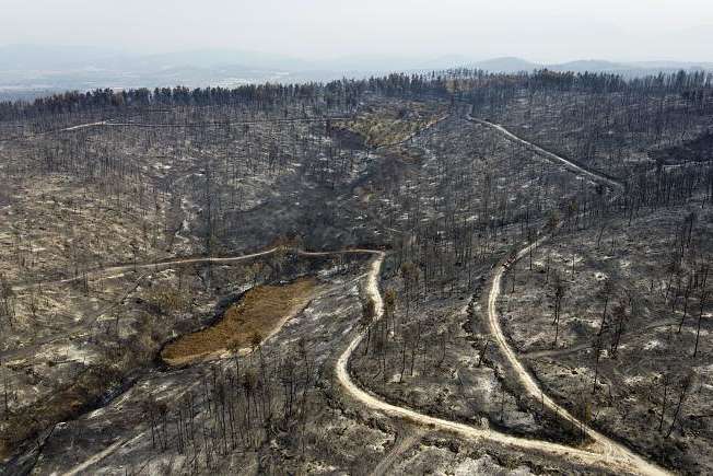 Лісові пожежі в Греції завдяки дощам вдалося взяти під контроль