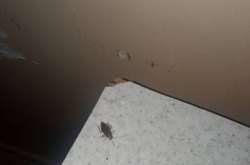  «По ночах вилазять всякі гади, серед яких таргани і павуки» - пацієнт 