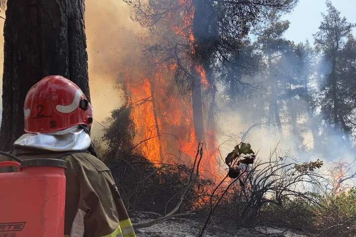 Українські пожежники, які гасять вогонь у Греції, стали улюбленцями соцмереж (фото)
