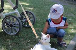 У Вінниці пройшов ярмарок бездомних тварин (фото)