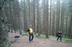 На Говерлі загубився шестирічний хлопчик