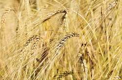 У цей день небажано ділитися чужими секретами