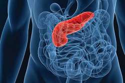 Вчені назвали симптоми раку підшлункової залози