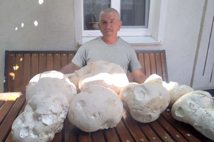 На Поділлі знайшли гриби, більші за людську голову (фото)