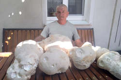 На Поділлі знайшли гриби, більші за людську голову (фото)