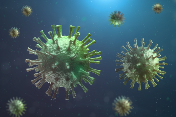Новая группа ВОЗ начнет расследовать происхождение коронавируса