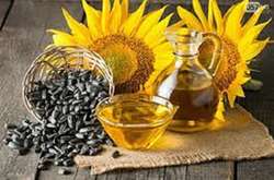 Уряд обіцяє, що соняшникова олія подешевшає