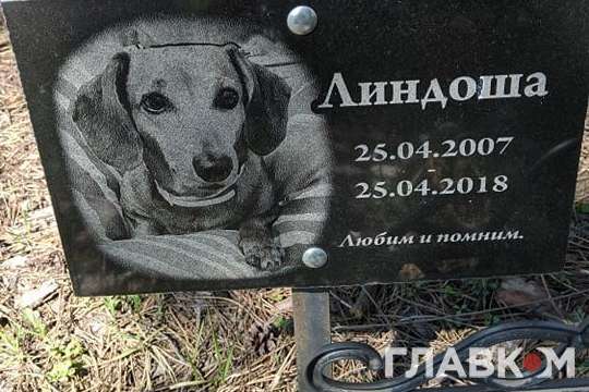 Будівництво офіційного кладовища для тварин у Києві знову відкладається 