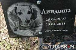 Будівництво офіційного кладовища для тварин у Києві знову відкладається 