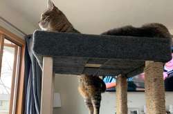 Подборка обманчивых кадров, в которых сложно разобраться из-за коварных ракурсов