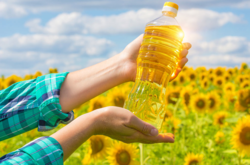 По прогнозам производителей, стоимость «социальных» сортов масла до конца месяца должна значительно снизиться