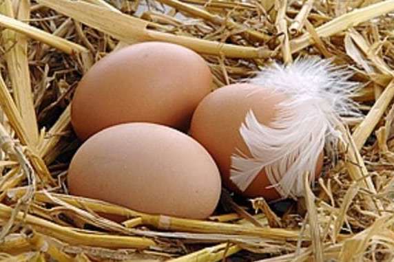 Виробництво яєць скоротилося: що буде з цінами