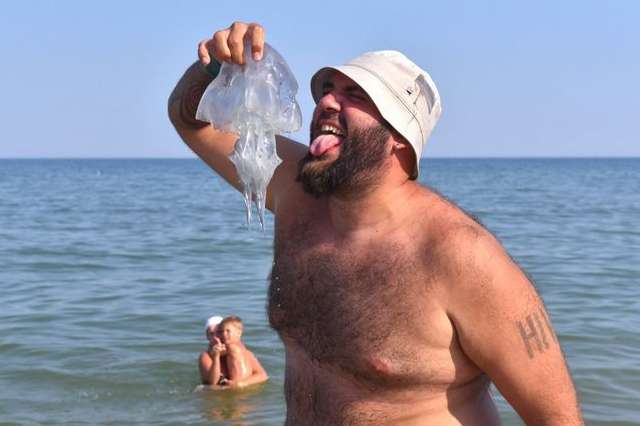Нашестя медуз. Чому туристи тікають з Азовського моря? 