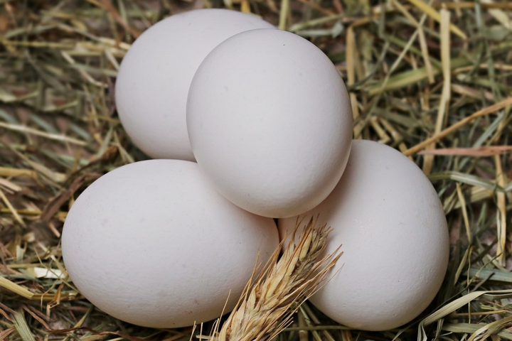 Производство яиц сократилось: что будет с ценами
