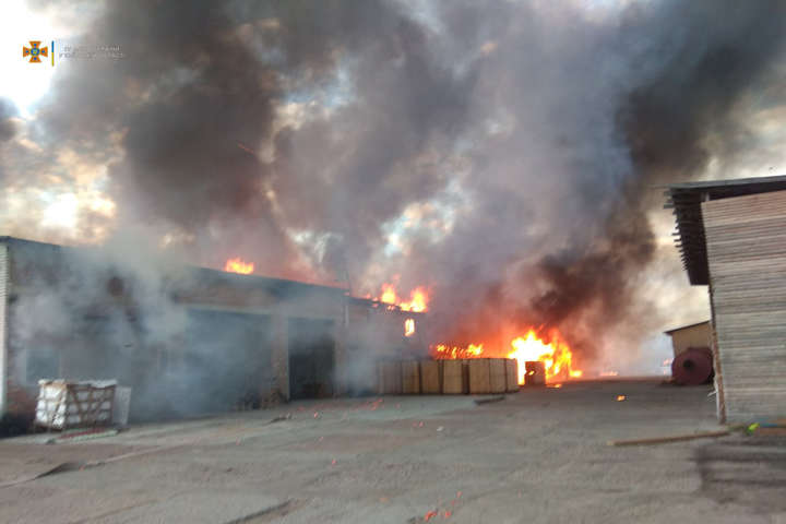 На Київщині сталась масштабна пожежа: згоріла пилорама (фото)