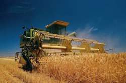 Аграрії завершують збір ранніх зернових та обіцяють рекордний врожай