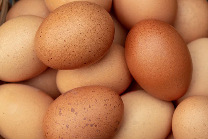Птахопром: британське профільне видання пояснило, чому дорожчають яйця, вироблені в Україні