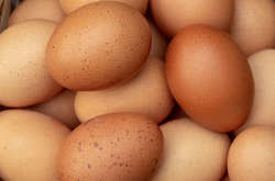 Птахопром: британське профільне видання пояснило, чому дорожчають яйця, вироблені в Україні