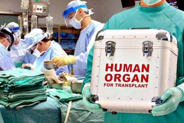 Глава МОЗ назвав тарифи на трансплантацію органів