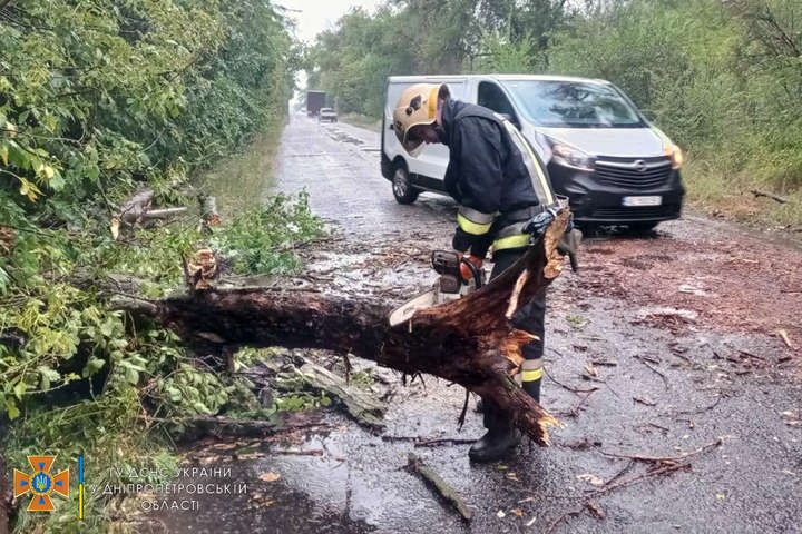 Негода на Дніпропетровщині: повалені дерева та затоплені вулиці (фото)