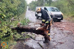 Негода на Дніпропетровщині: повалені дерева та затоплені вулиці (фото)