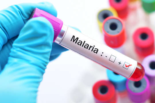У Харкові зареєстрували завізний випадок тропічної малярії