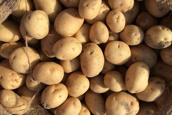 Фахівці розповіли, коли стабілізуються ціни на картоплю в Україні