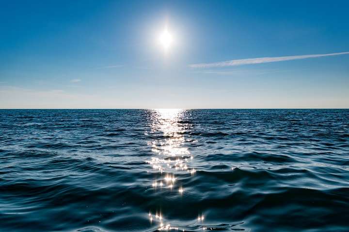 До 95% поверхні океану буде непридатною для життя через 80 років, – вчені