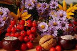 29 серпня – Горіховий Спас: красиві листівки, привітання та вірші