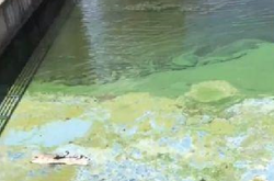  Таке сталося через скидання будматеріалів та інших токсичних відходів будівництва прямо у воду 