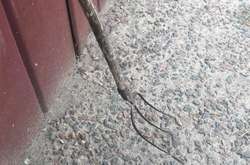 На Миколаївщині поліцейські затримали місцевого мешканця за вбивство брата 