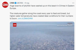 «Огромные стаи медуз выплыли на этот пляж в Крыму в Восточной Европе», – пишет CNN, без указания, что Крым – украинский и сейчас временно оккупированный