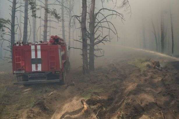У Луганській області знову горять ліси 